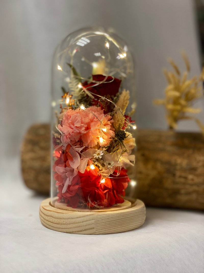 永生康乃馨微景 质感不凋花灯串 | 生日 毕业季首选 |台北可自取 - 干燥花/捧花 - 植物．花 