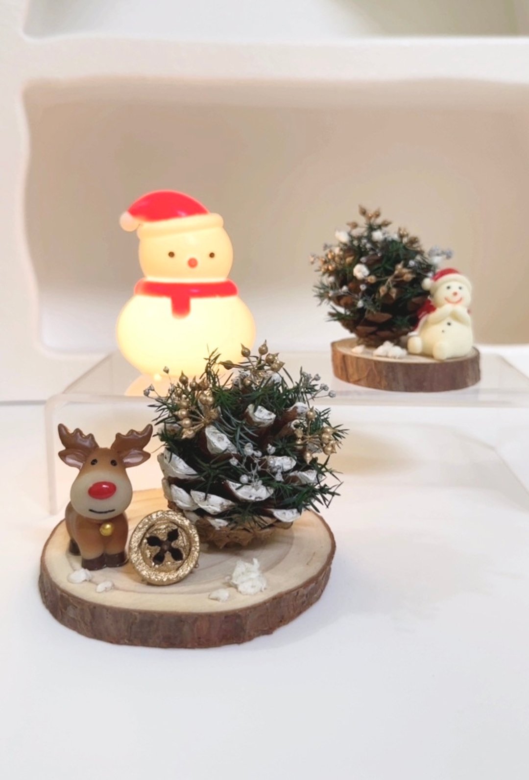 【节日送礼】圣诞松果树 永生圣诞树 圣诞老人 交换礼物 圣诞装饰 - 干燥花/捧花 - 植物．花 