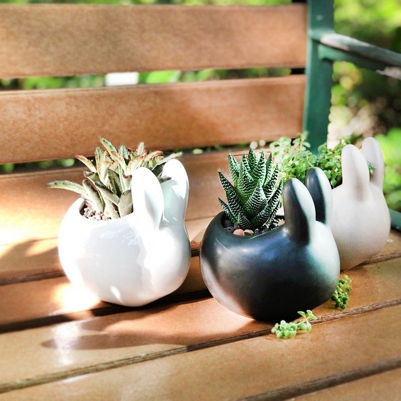 兔兔那么可爱 月兔应景小品 | 中秋送礼首选 居家办公好伙伴 - 植栽/盆栽 - 植物．花 绿色