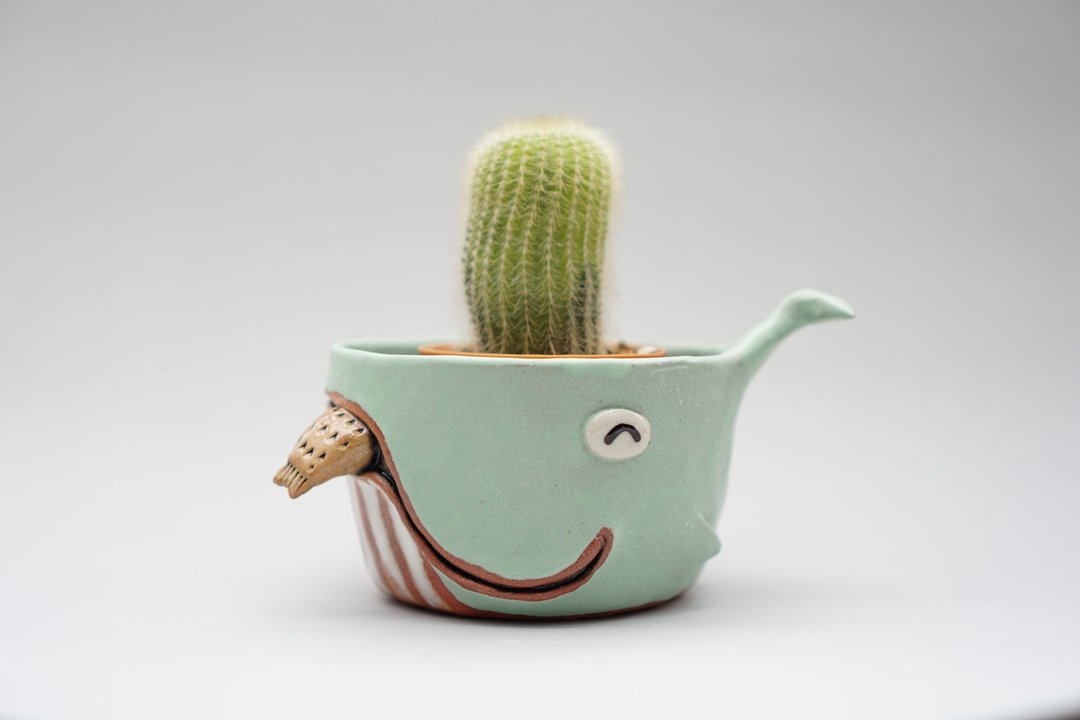 Whale pot , Whale plant pot , Handmade ceramics , pottery  - 花瓶/陶器 - 陶 蓝色