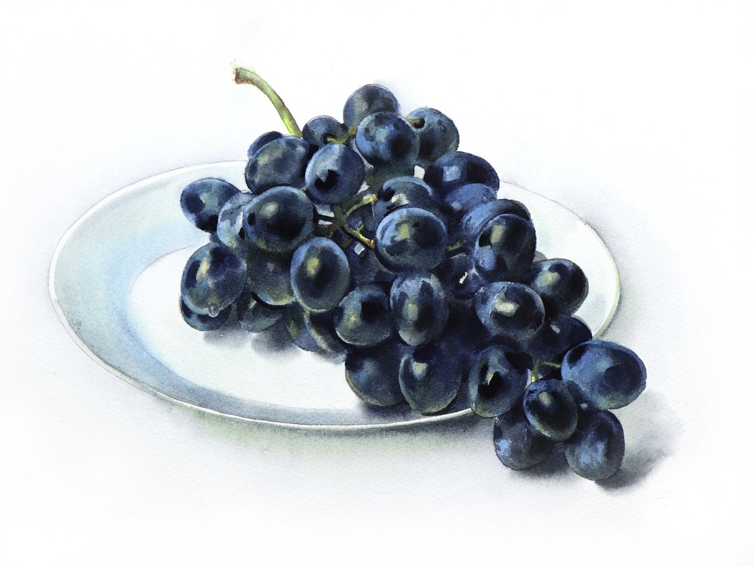 Grape original watercolor painting by artist Irina Zhunaeva - 墙贴/壁贴 - 纸 黑色