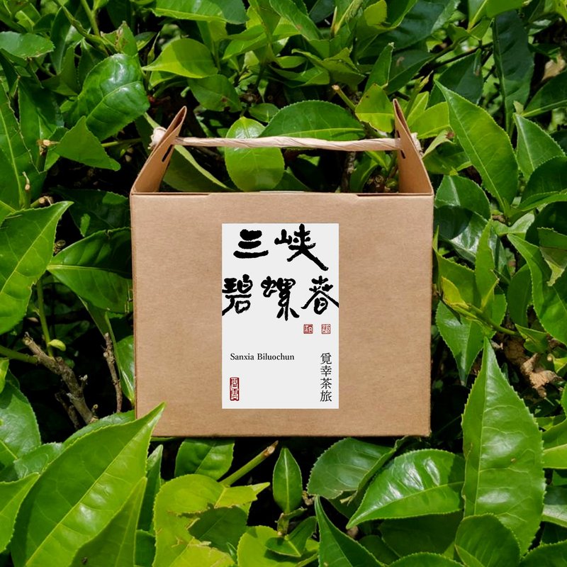 三峡碧螺春 | 茶包10入【清扬香气】 - 茶 - 新鲜食材 