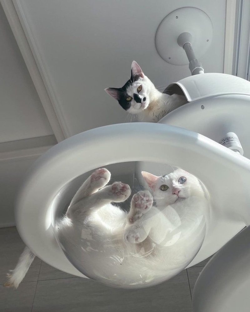 极地猫跳台配件区 。宇宙旅行猫咪飞行器、太空舱、小宇宙飞碟 - 抓板/跳台 - 其他材质 