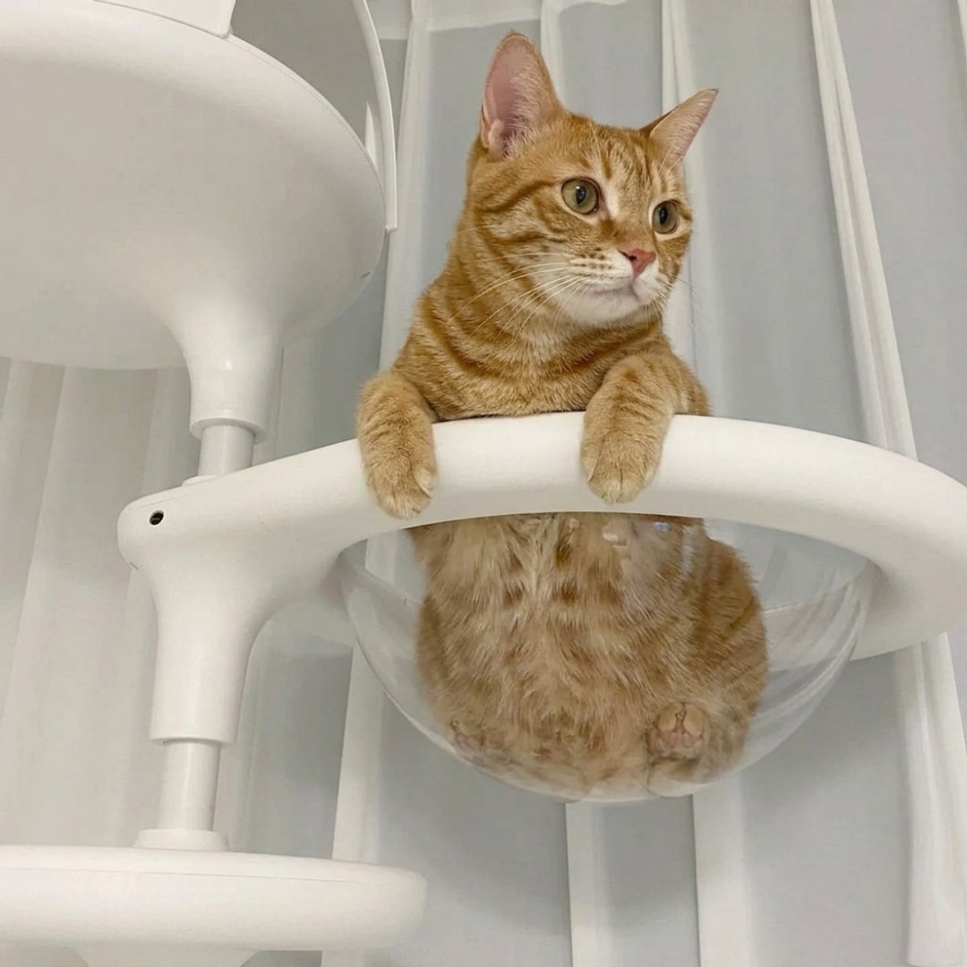 极地猫跳台配件区 。宇宙旅行猫咪飞行器、太空舱、小宇宙飞碟 - 抓板/跳台 - 其他材质 