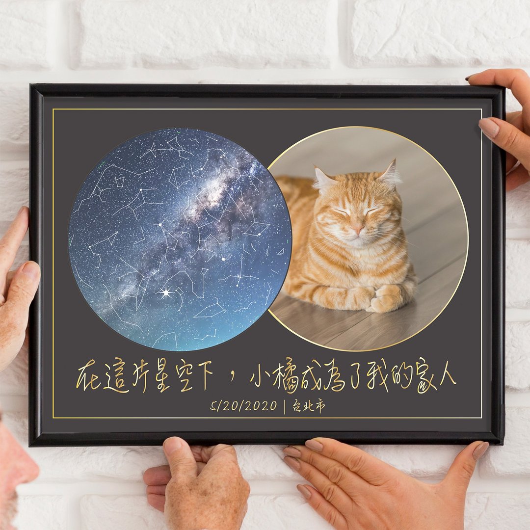定制化宠物纪念狗狗猫猫咪生日相遇当天的真实星空夜晚A3铝框挂画 - 海报/装饰画/版画 - 铝合金 黑色