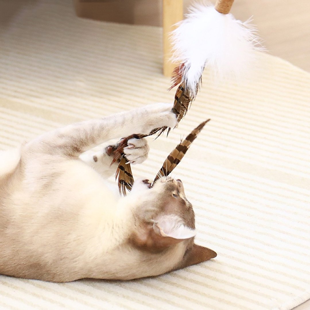 【日本CattyMan】附3款可替换玩具の逗猫伸缩钓棒 - 玩具 - 其他材质 橘色