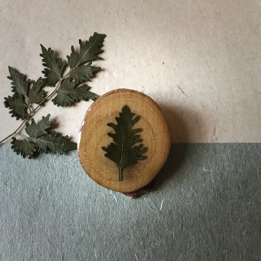 干花滴胶别针/胸针 - 胸针 - 木头 咖啡色