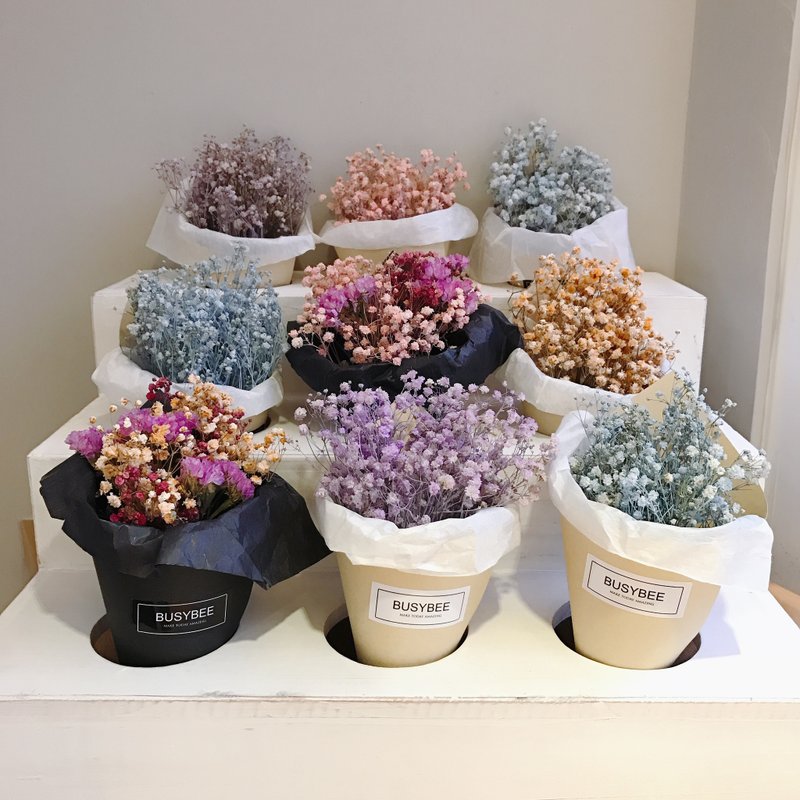 Baby.s Breath 进口满天星干燥花束 - 植栽/盆栽 - 植物．花 