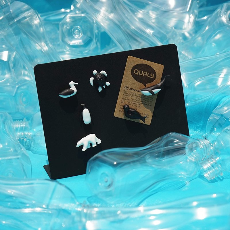 QUALY 拯救海洋-磁铁(一组6入) - 冰箱贴/磁贴 - 塑料 多色