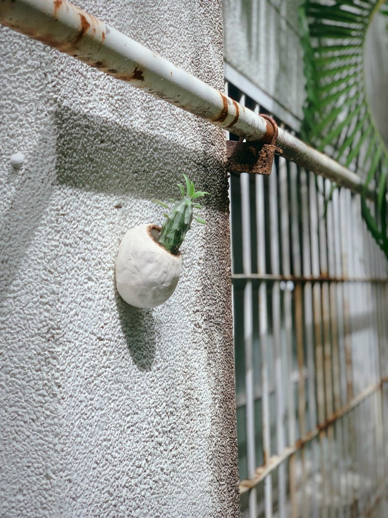 /肥肥的茧/ 手捏陶瓷植栽盆 - 花瓶/陶器 - 陶 白色