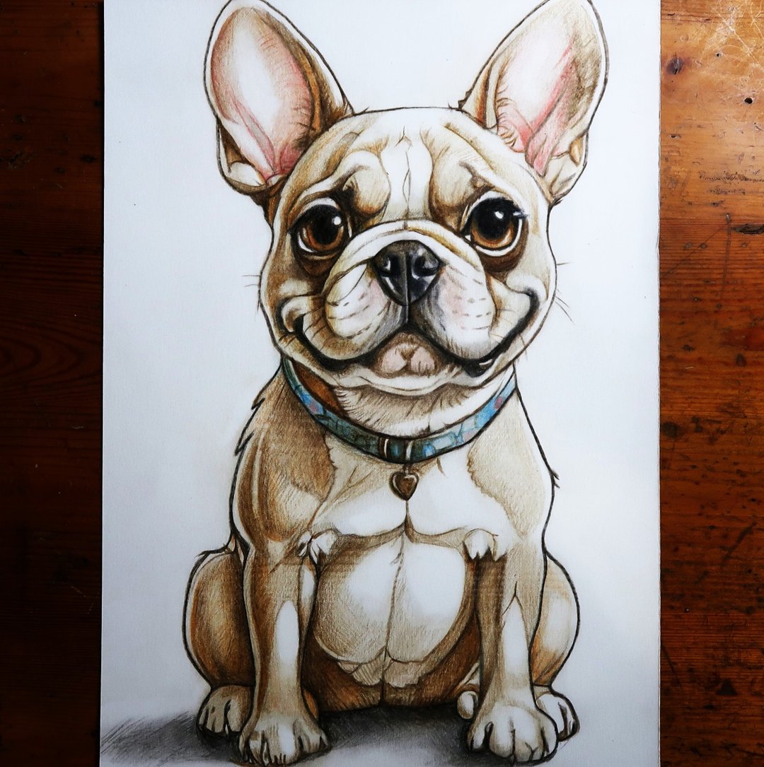 1.宠物狗画(上架作品)  2.宠物狗定制画  3.缩时摄影 - 订制画像 - 纸 咖啡色