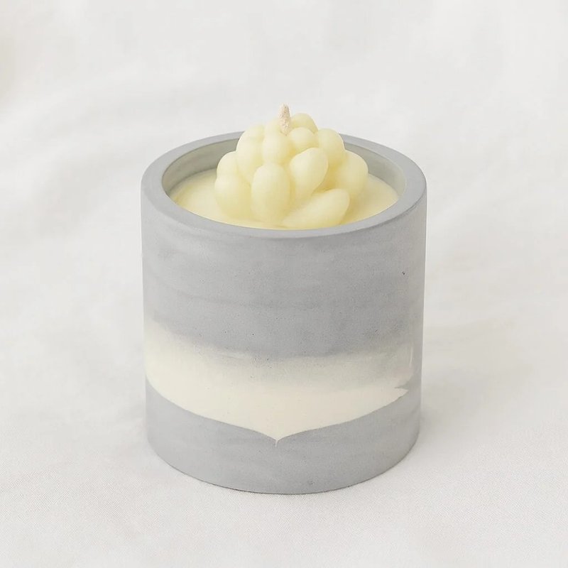 Chrome 风格香薰 大豆手工陶罐蜡烛 250g - 蜡烛/烛台 - 粘土 银色