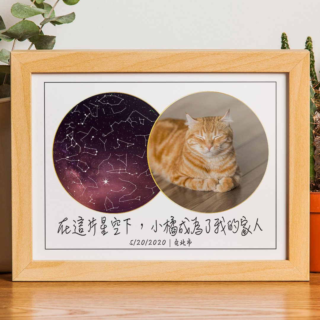 【订制化】宠物周岁生日根据日期地点纪录与它相遇的真实星空图档 - 订制抱枕/饰品 - 纸 白色