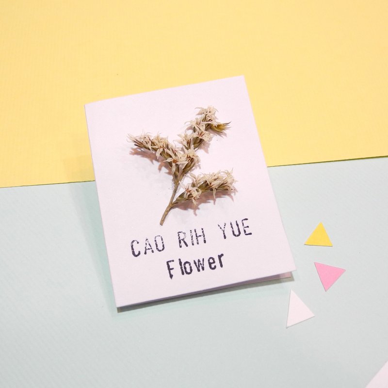 迷你干燥花小卡片 - 卡片/明信片 - 植物．花 多色