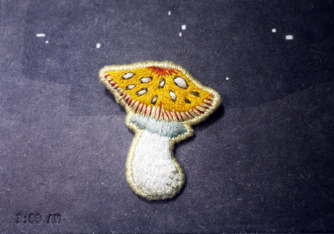 【金蘑菇】手工刺绣/胸针/香菇 - 胸针 - 绣线 蓝色