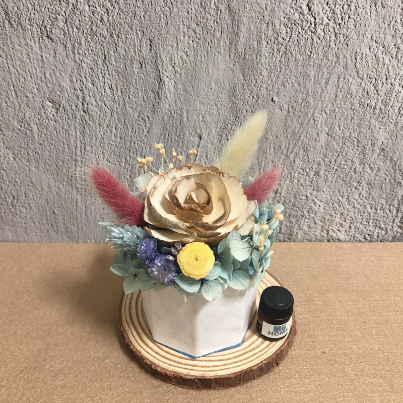 索拉花香氛小盆栽 干燥花 附1.5ml香精油 扩香石 - 干燥花/捧花 - 植物．花 卡其色