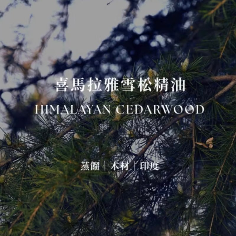 喜马拉雅雪松精油 | Himalayan Cedarwood Essential Oil | 温暖 - 香薰/精油/线香 - 精油 
