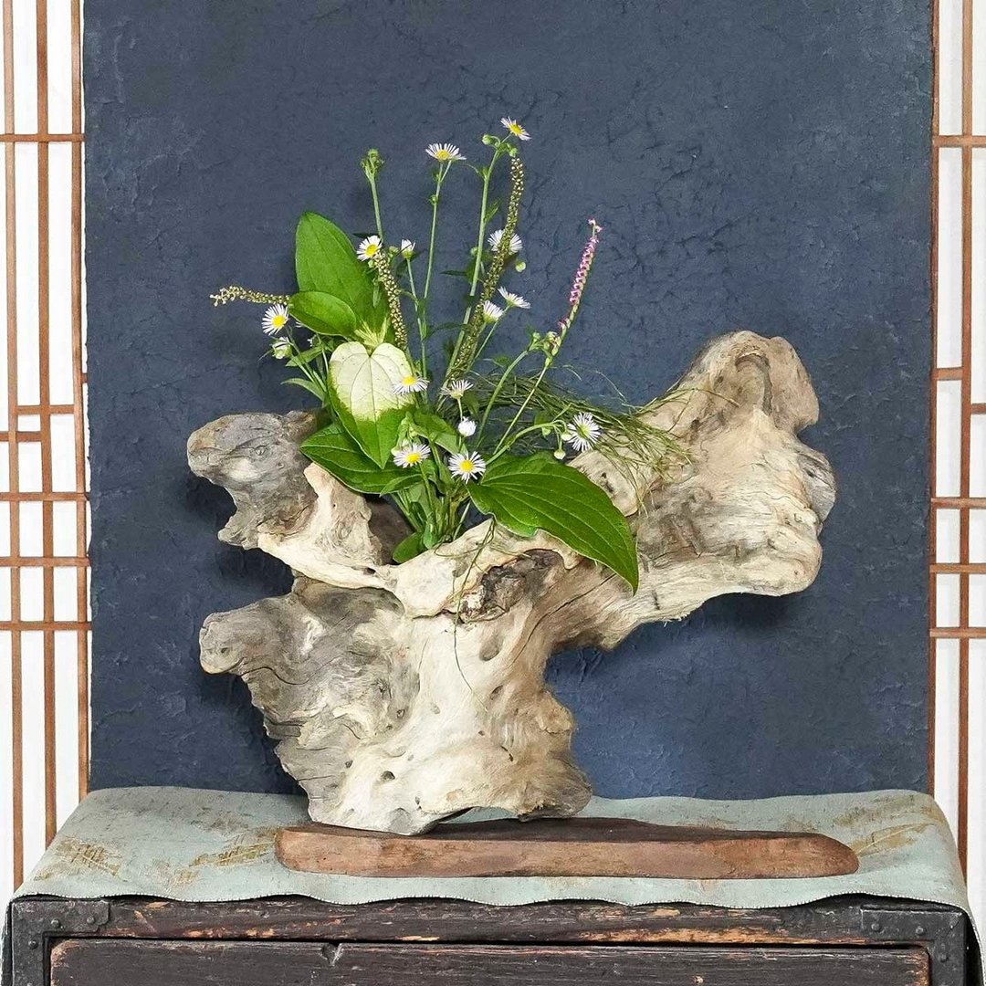 季节花卉点缀生活空间 : 屋久岛天然流木艺术花器 小花瓶 94 - 花瓶/陶器 - 木头 咖啡色