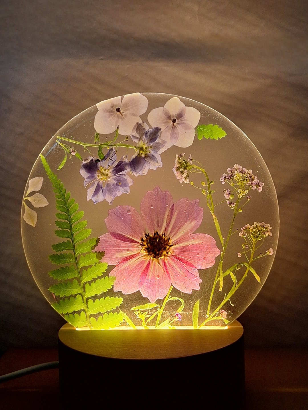 手作押花疗愈LED小夜灯 | 波斯菊小夜灯 - 灯具/灯饰 - 树脂 红色