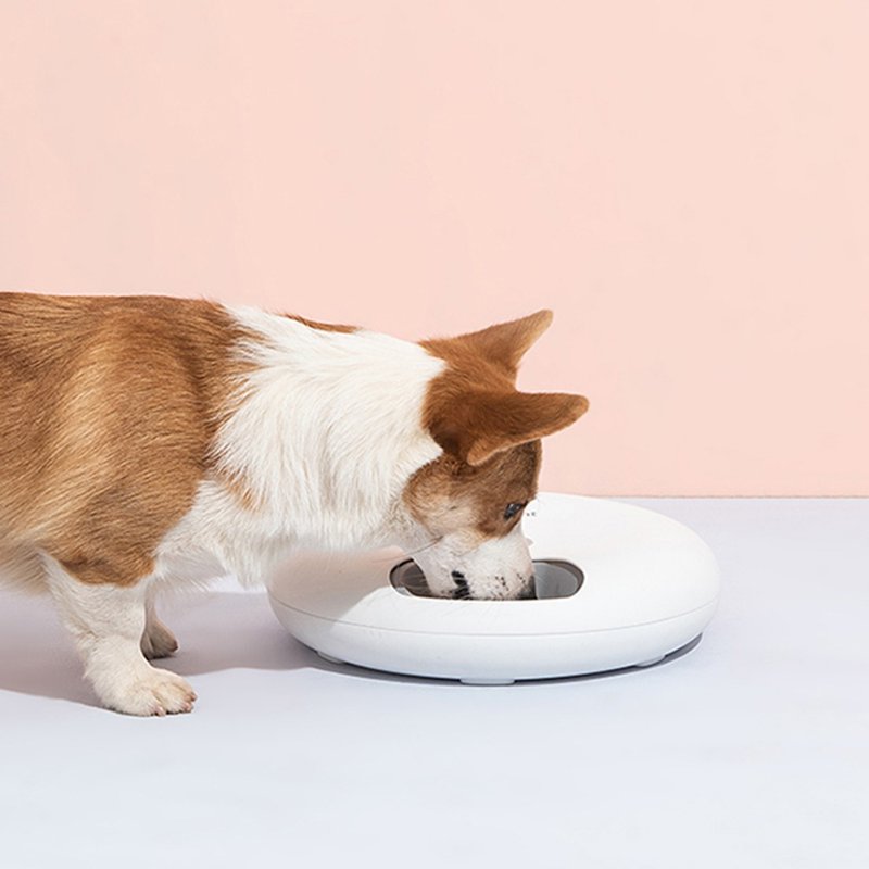 PETWANT 甜甜圈六餐喂食器 F6-TW - 碗/碗架 - 其他材质 多色