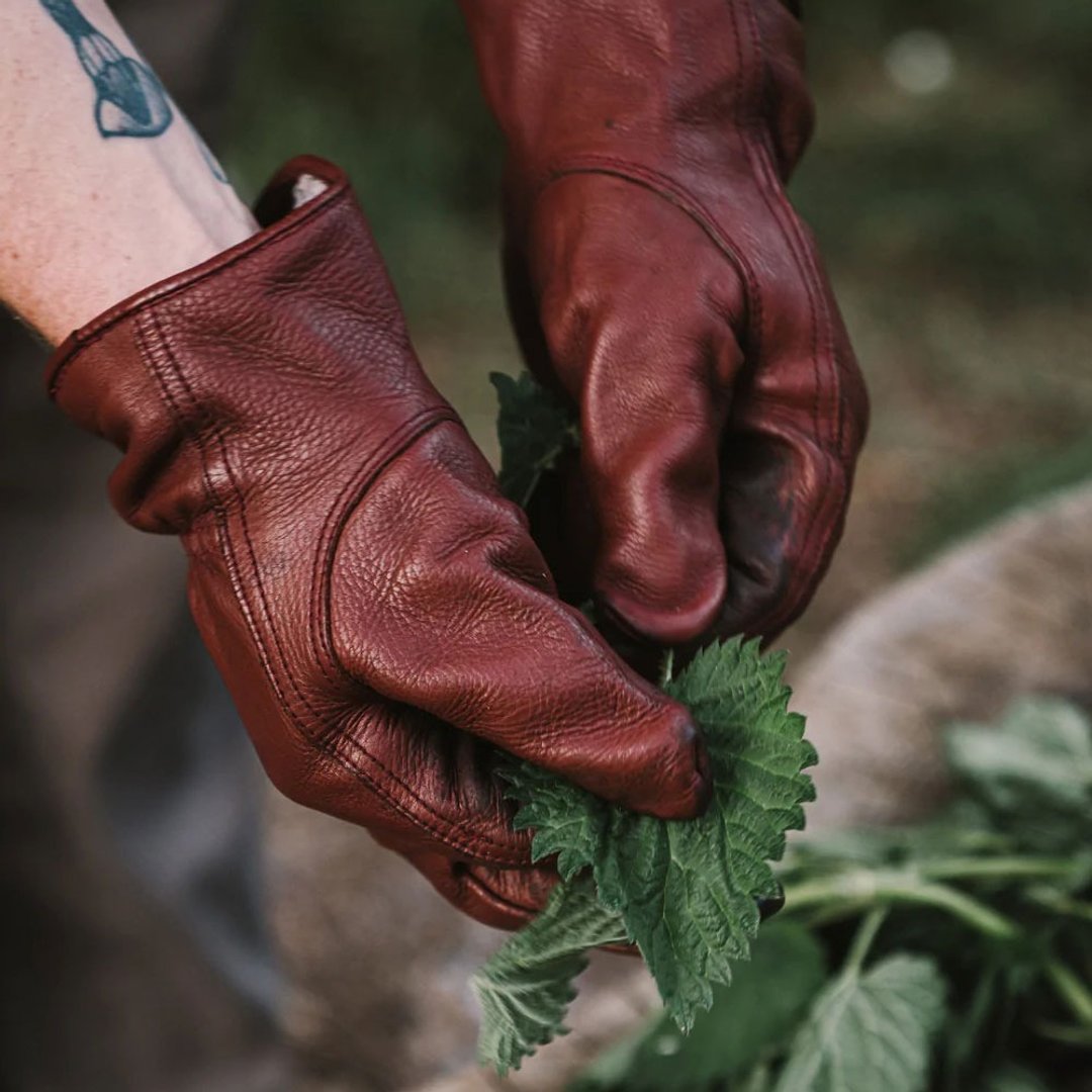 Barebones 经典工作手套 Classic Work Glove / 深琥珀色 - 露营用品 - 真皮 