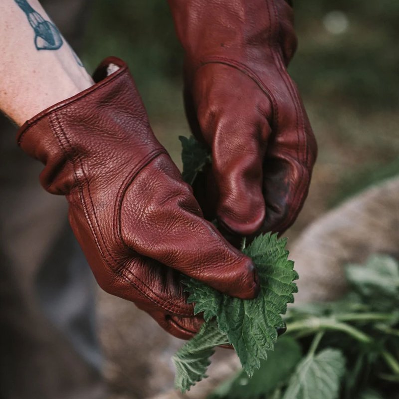 Barebones 经典工作手套 Classic Work Glove / 深琥珀色 - 露营用品 - 真皮 