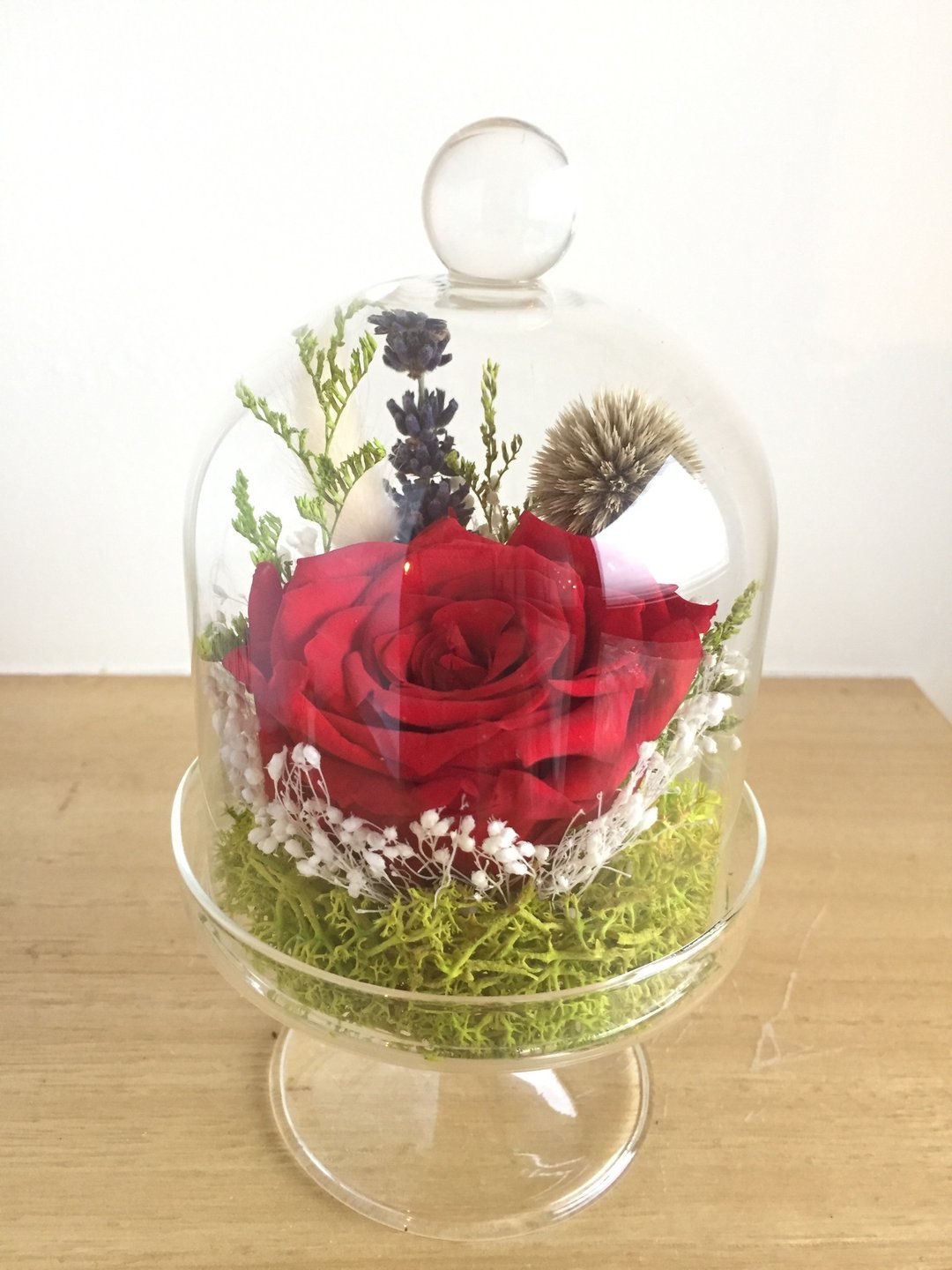 ［纯自然］永恒的爱 玫瑰 永生花 干燥 高脚玻璃钟 瓶中 盆栽 植物 送礼 情人节 love gift valentine - 植栽/盆栽 - 植物．花 多色