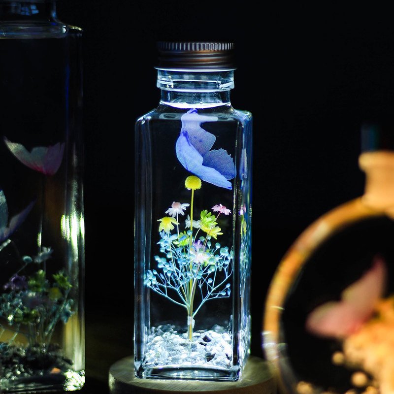 单只蝴蝶浮游花小夜灯 永生花小夜灯 生日礼物 - 干燥花/捧花 - 植物．花 多色