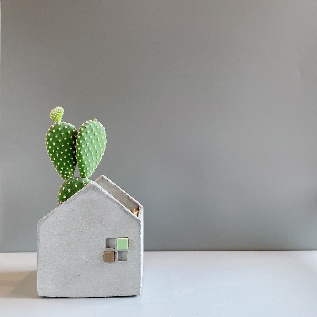 【泥の小屋-水泥盆器】Cement house plant pot - 植栽/盆栽 - 水泥 灰色
