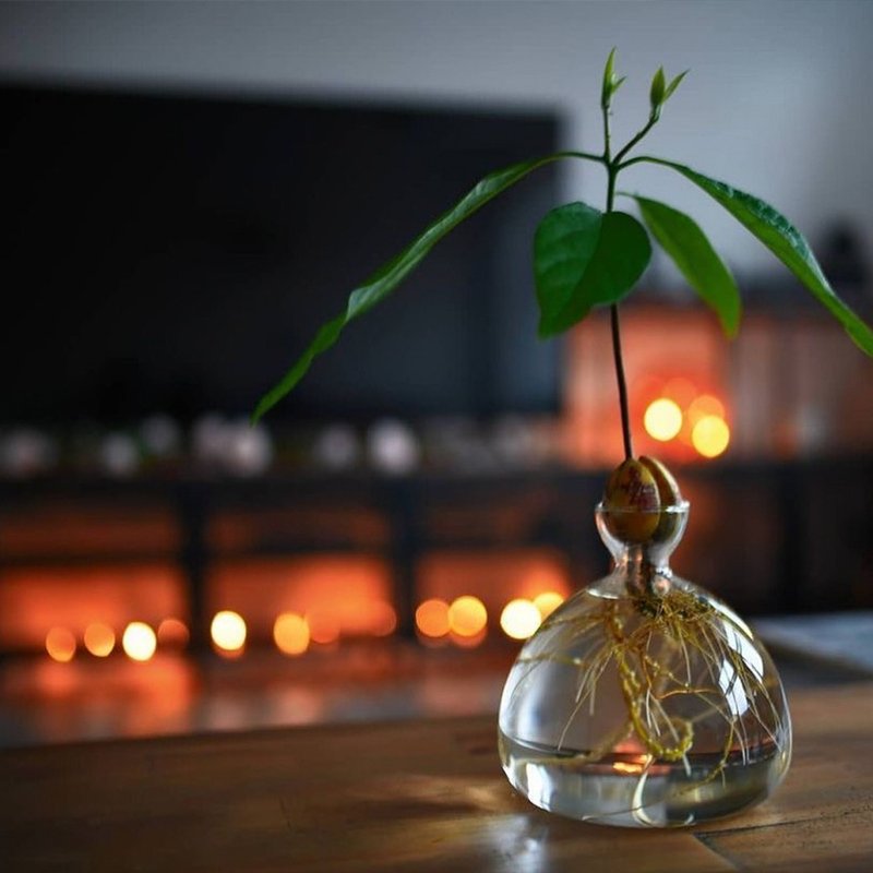 ILEX STUDIO | 酪梨玻璃花器 烟雾灰 - 花瓶/陶器 - 玻璃 灰色