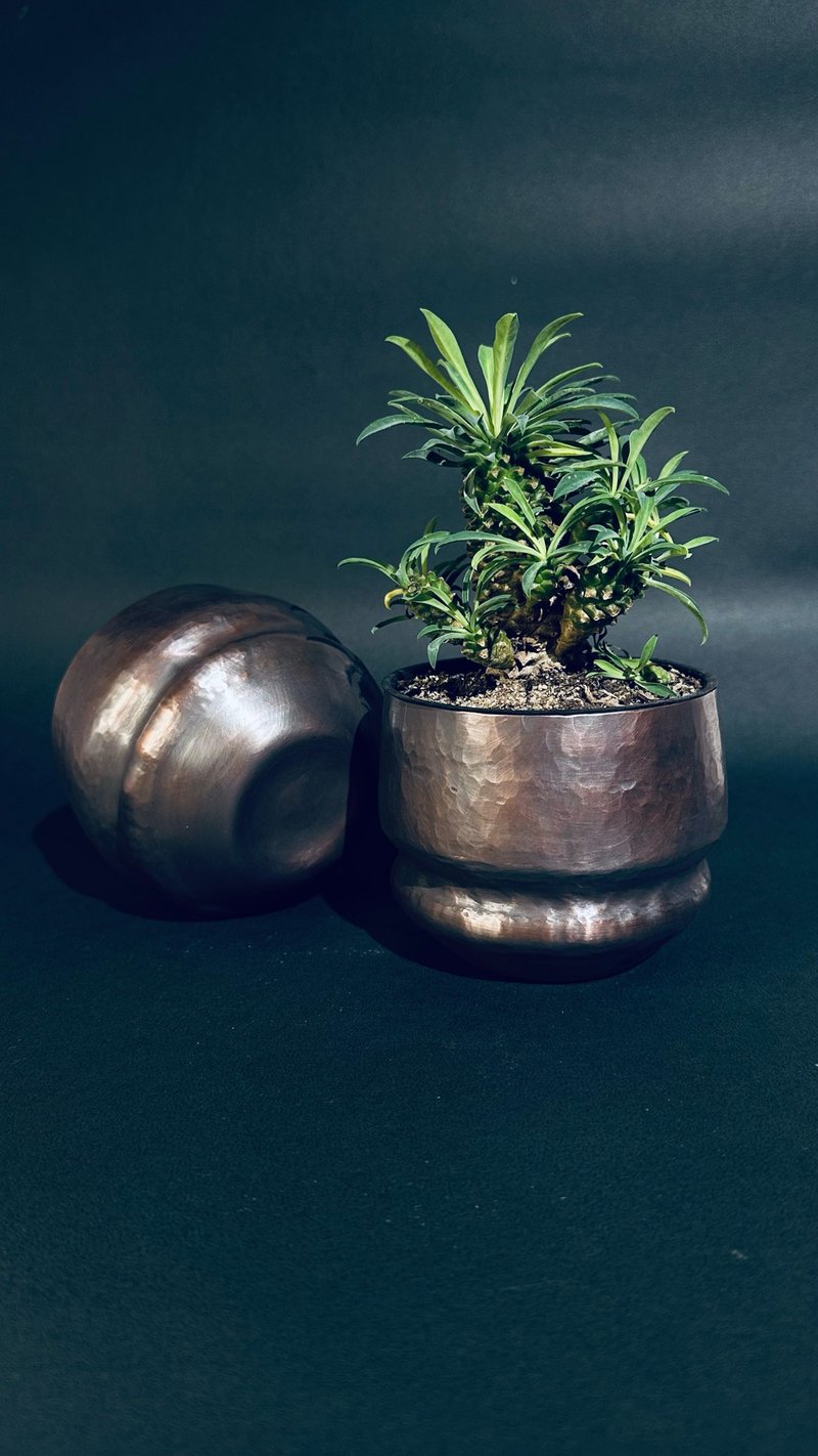 金酉器 红铜手作金属盆器 / 套盆 / 立体水盆 - 蝴系列 - 植栽/盆栽 - 铜/黄铜 