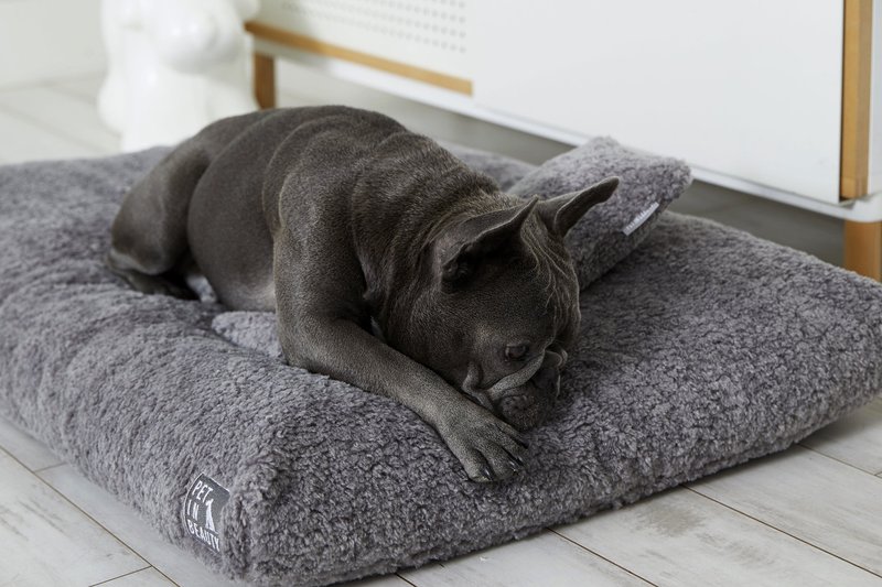 免困【#包邮 PET IN BEAUTY 韩国 毛茸茸温暖 天然乳胶 宠物床垫 - 床垫/笼子 - 棉．麻 