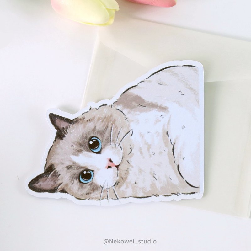 造型明信片 躺着的布偶猫 附信封袋 猫咪 猫猫 万用卡 书签 装饰 - 卡片/明信片 - 纸 白色