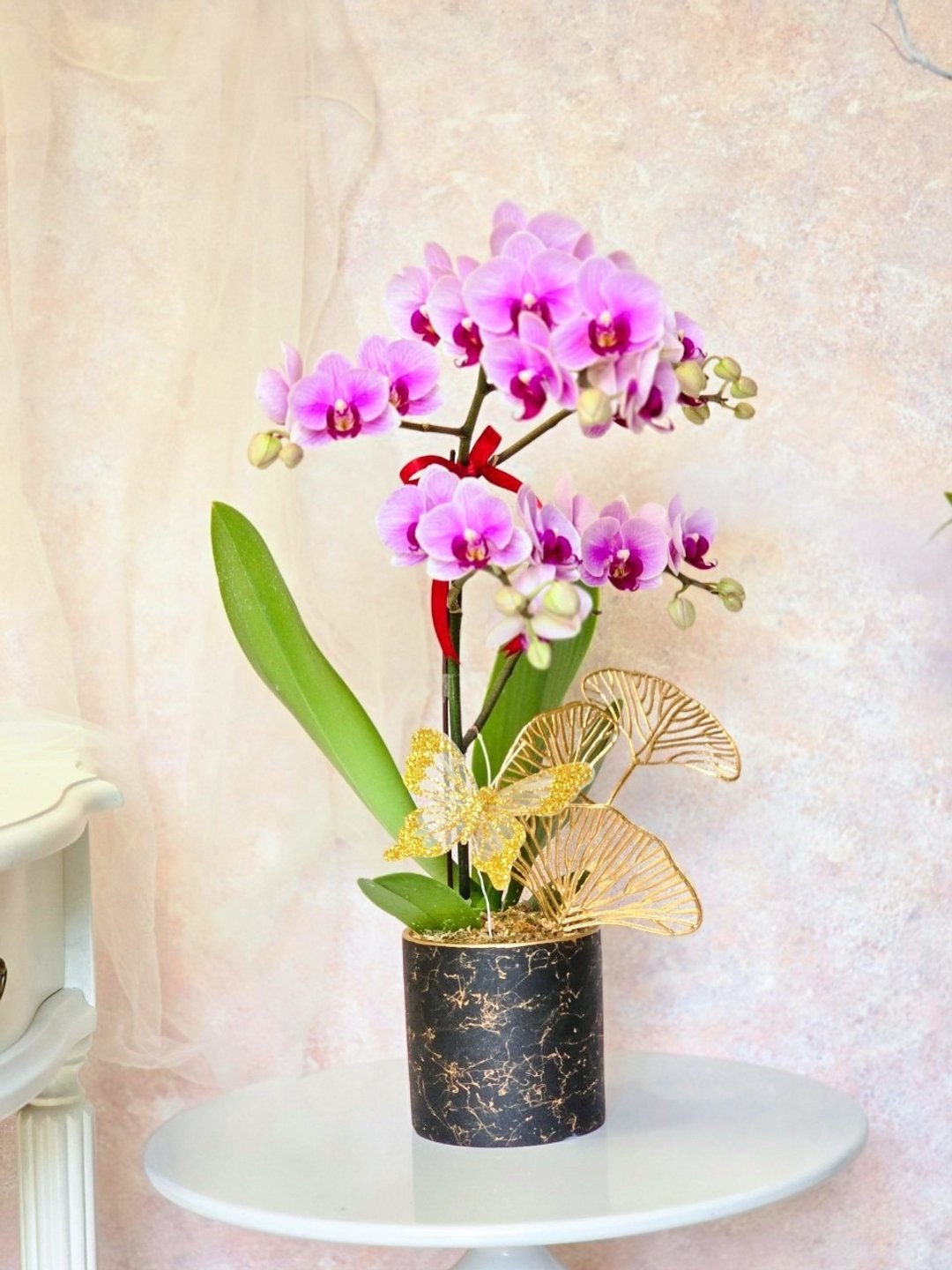宝贝粉蝴蝶兰植栽【限店面自取/双北专送】新年送礼 新居落成 - 植栽/盆栽 - 植物．花 粉红色