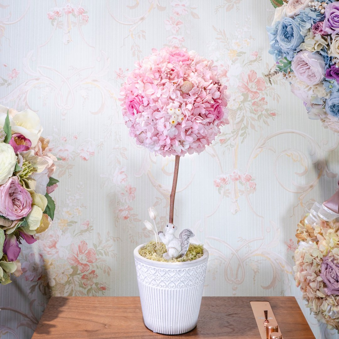 Topiary Art 浪漫永生花球树 | 不凋玫瑰  礼物 纪念日 - 干燥花/捧花 - 植物．花 