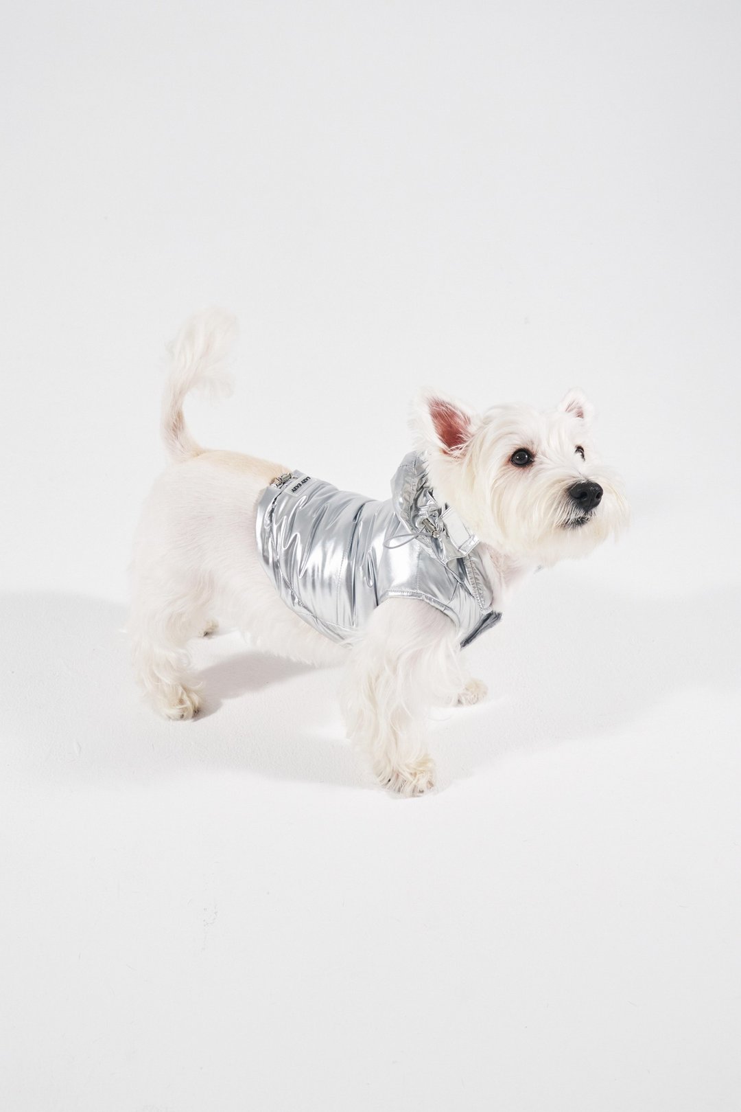 LazyEazy宠物无袖杜邦棉服猫咪狗狗大中小型犬秋冬防风保暖衣服 - 衣/帽 - 聚酯纤维 多色