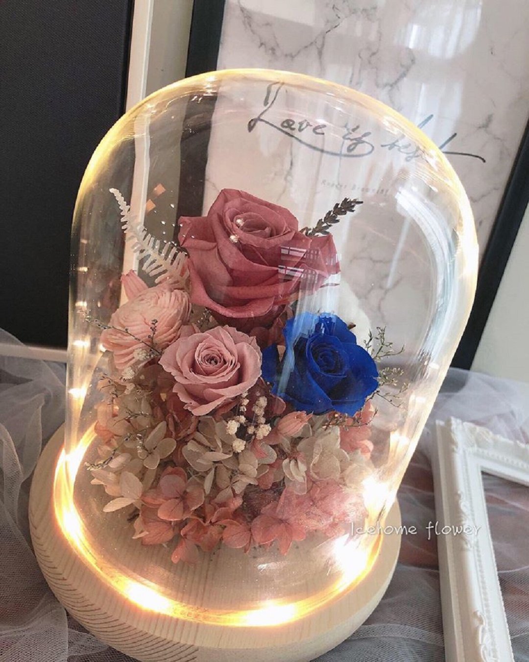 夜灯款永生玻璃罩钟花 玻璃罩 大款 永生花 生日礼物 情人节礼物 - 摆饰 - 植物．花 蓝色
