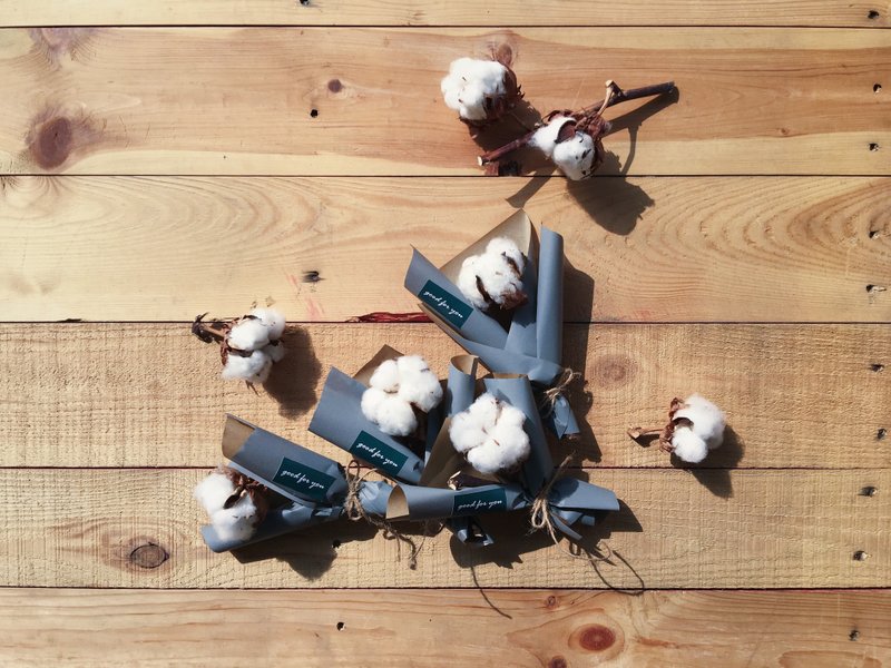 【好花】干燥棉花小花束 (XS) - 植栽/盆栽 - 植物．花 白色