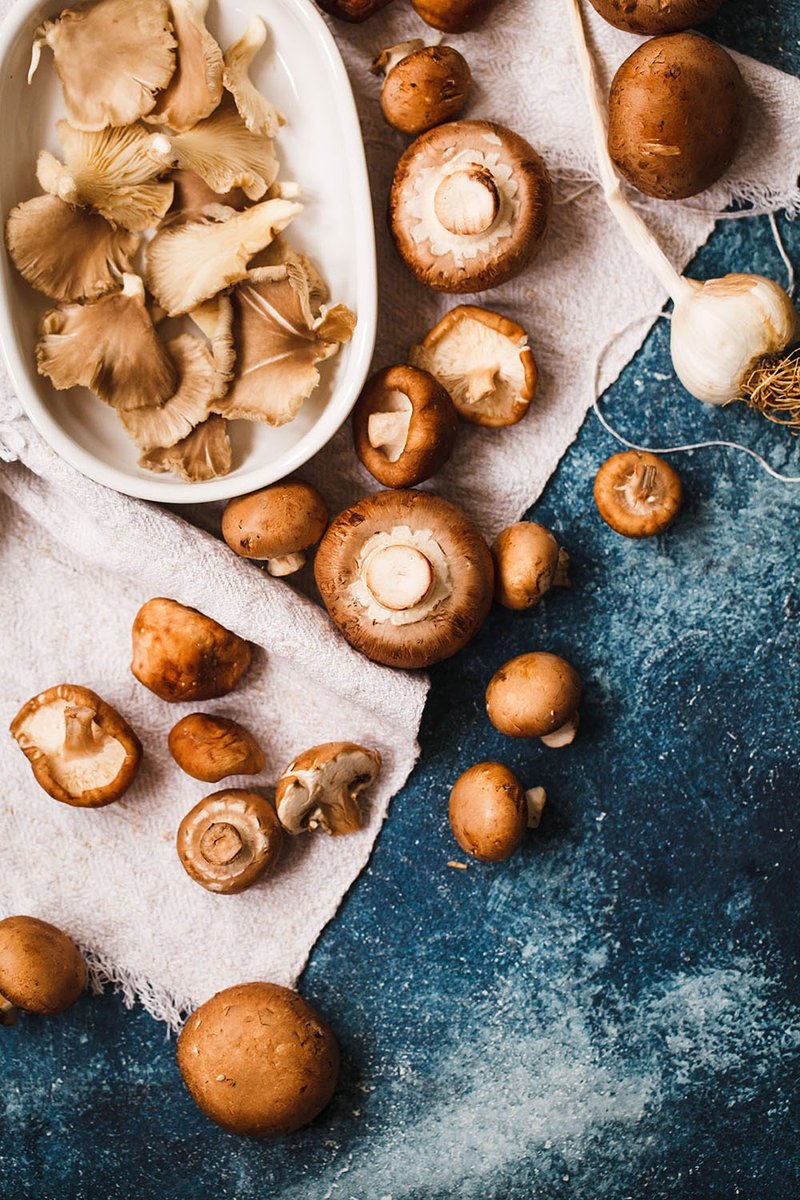 【好日好食】好果系列 顶级菇菇脆片(6入组) - 其他 - 其他材质 