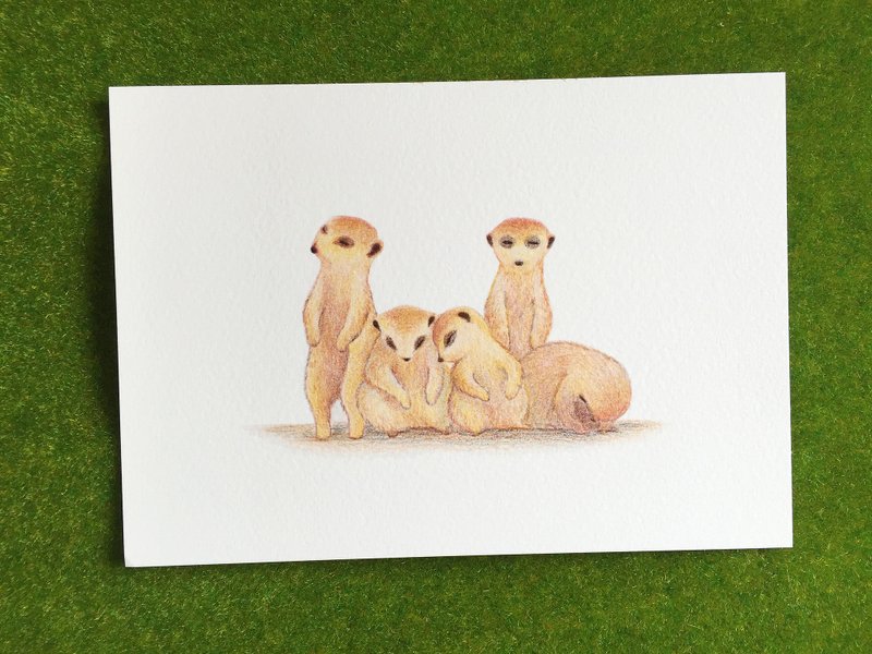 打瞌睡 明信片 - 卡片/明信片 - 纸 