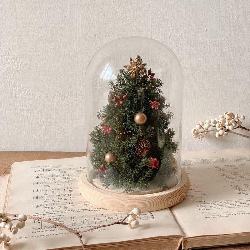 圣诞小树 玻璃罩盅 - 干燥花/捧花 - 植物．花 绿色