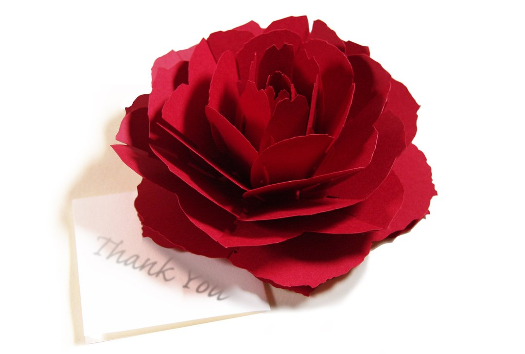 如花盛开 弹出式花朵造型留言卡   Red Rose - 卡片/明信片 - 纸 红色