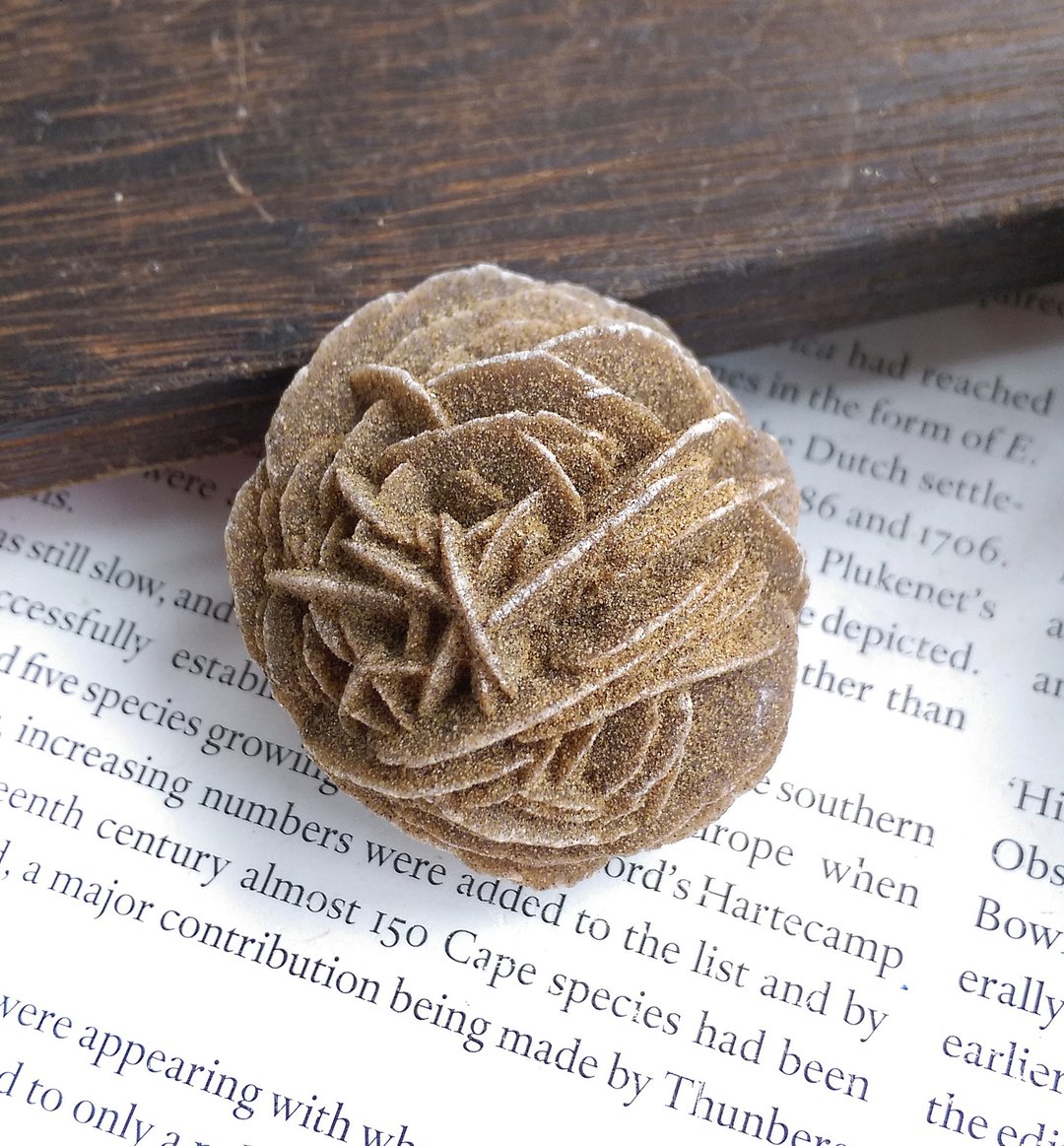 Desert Rose 内蒙产地  沙漠玫瑰石 石膏 天然矿石 原矿 - 摆饰 - 其他材质 