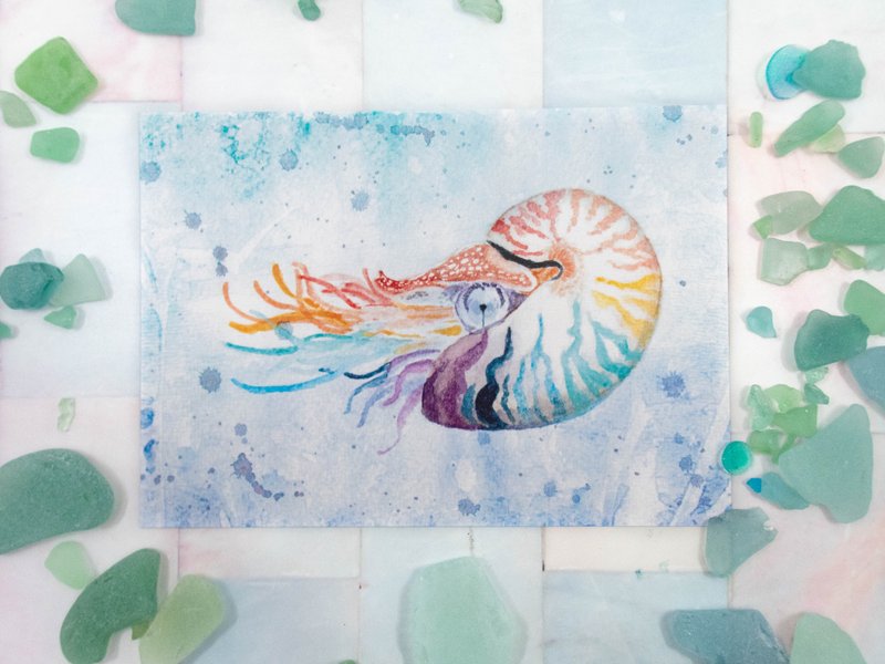 彩虹鹦鹉螺水彩明信片 - 卡片/明信片 - 纸 蓝色