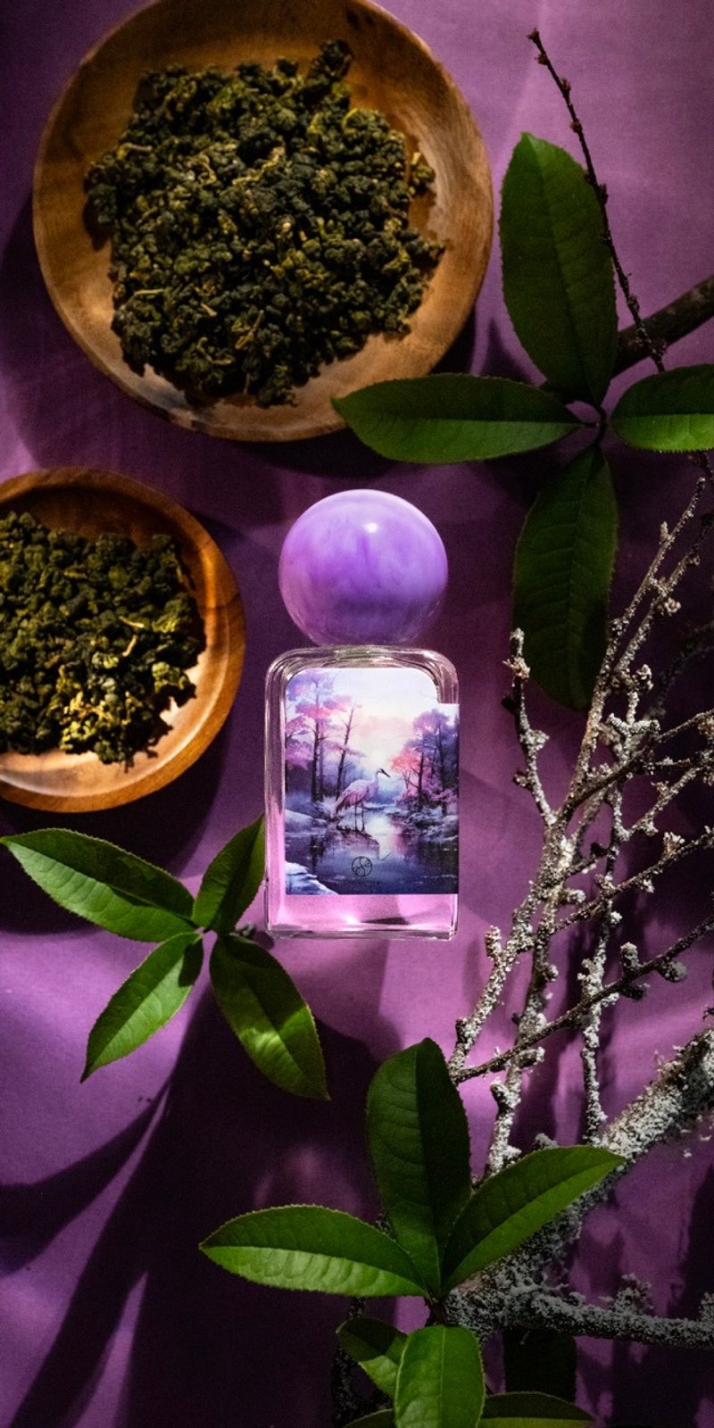 时序集系列香水 寒松听雪-大寒 淡香精EDP 100ML - 香水/香膏 - 玻璃 