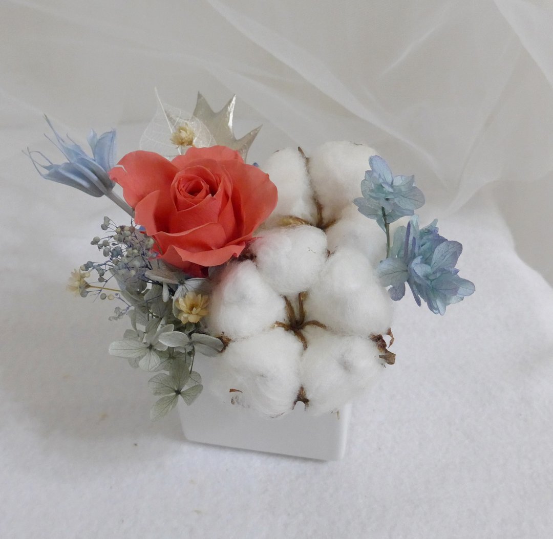棉婚永生玫瑰棉花盆花 结婚捧花永生干燥花情人节毕业花束生日七 - 干燥花/捧花 - 植物．花 蓝色
