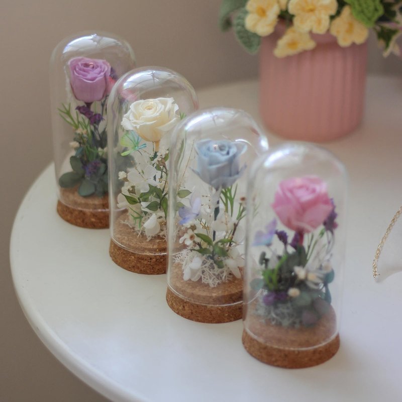 小王子玻璃罩 - 干燥花/捧花 - 植物．花 多色