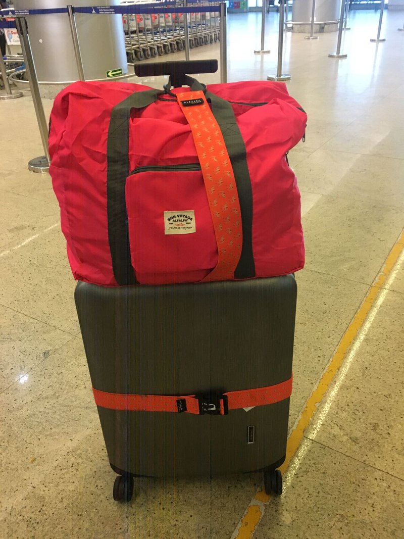 骆驼图案手提袋行李带 - 皮带/腰带 - 聚酯纤维 