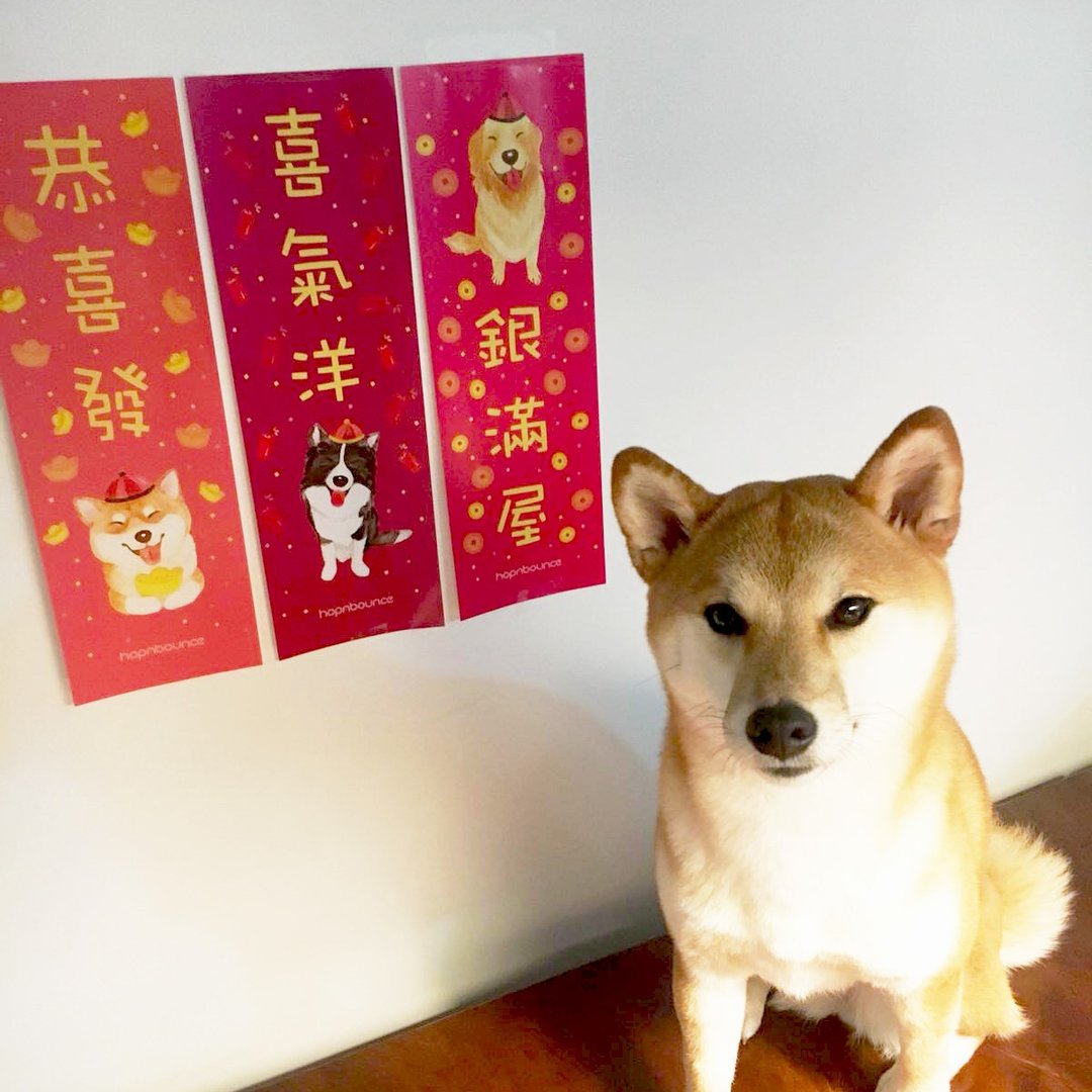 狗狗 挥春 春联 柴犬 (自选款式) 牛年 狗 - 红包/春联 - 纸 