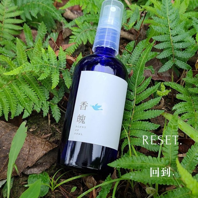 回到.  精油空间清净喷雾 - 香薰/精油/线香 - 植物．花 绿色